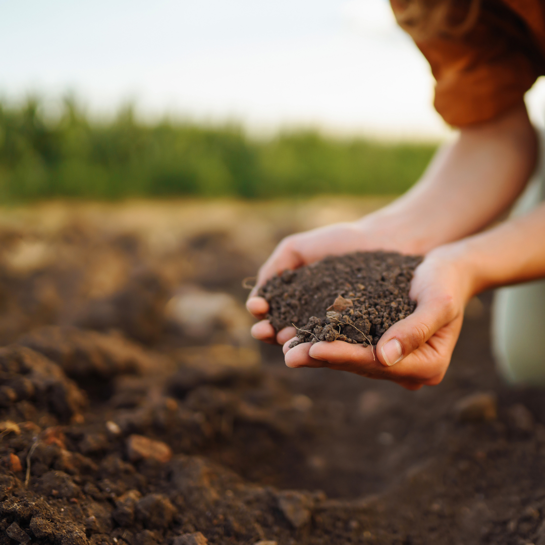 Compost